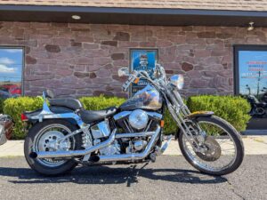 1999 Harley-Davidson Softail Springer FXSTS 1340 Last Year Evolution w/ Custom Frank Frazetta Paint Set One Owner Low Miles!